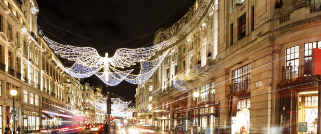 Private Christmas Lights Tour