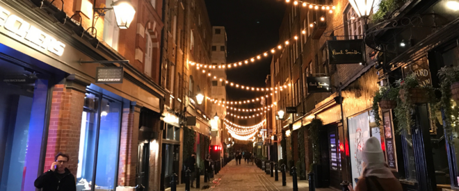 Private Christmas Lights Tour