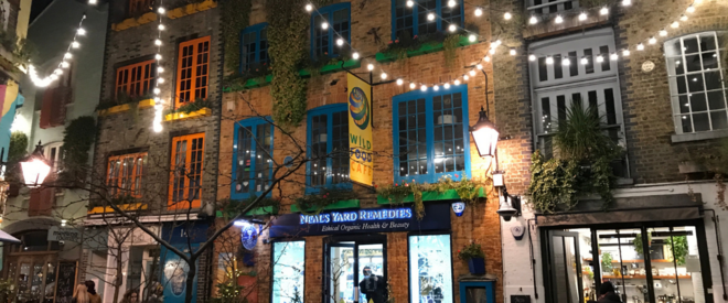 Private Christmas Lights Tour