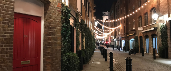 Private Christmas Lights Tour