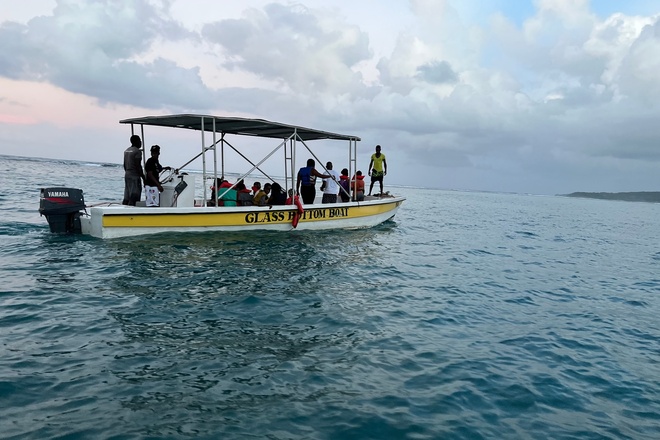 Glass Bottom Boat Tour | Lover’s Cave Tour & Dolphins Visit