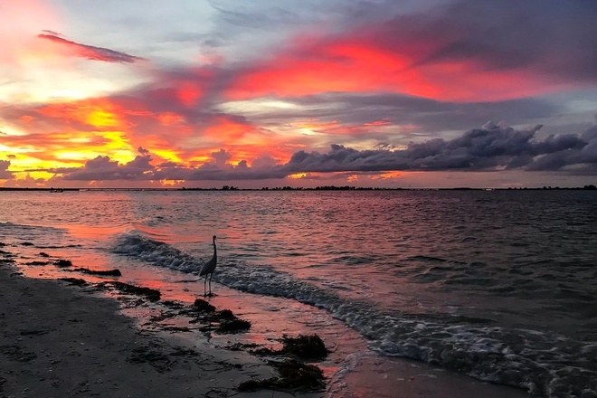 Fort Myers Beach Sunset Tour